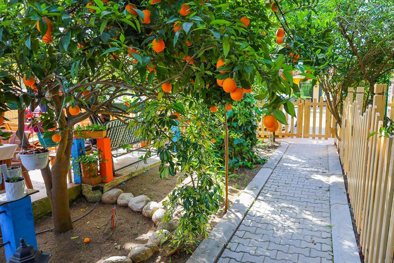 Three Islands Bungalow Çıralı Exterior foto