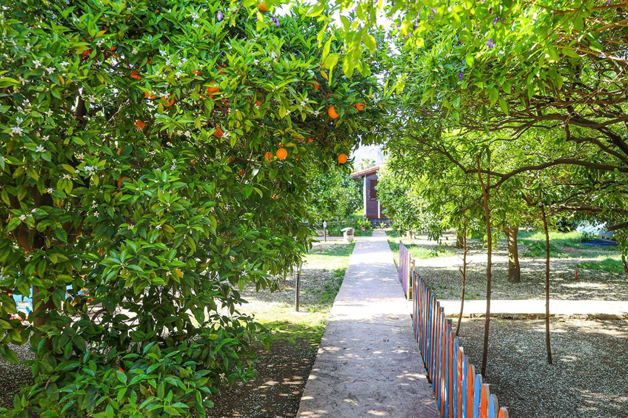 Three Islands Bungalow Çıralı Exterior foto