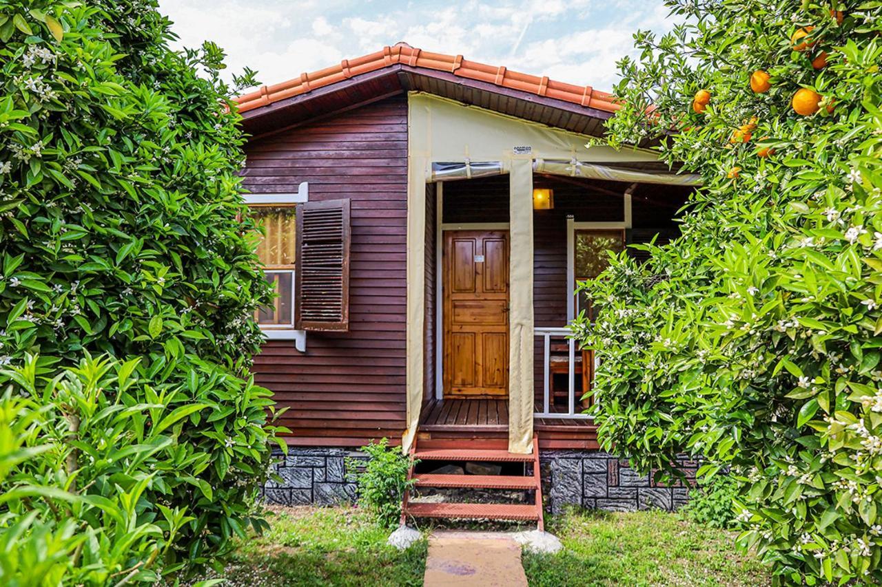 Three Islands Bungalow Çıralı Exterior foto